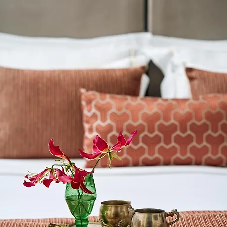 Mr Cas Taksim - Special Category