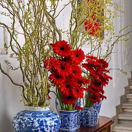 Hotel Mr Cas Taksim - Special Category 3*