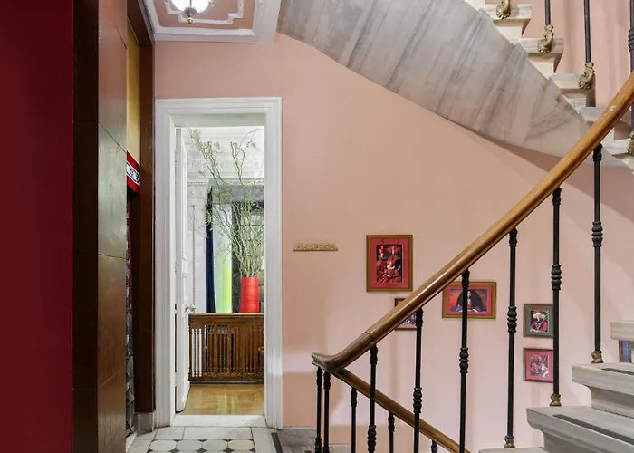 Mr Cas Taksim - Special Category 3*