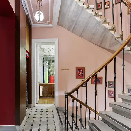 Mr Cas Taksim - Special Category 3*